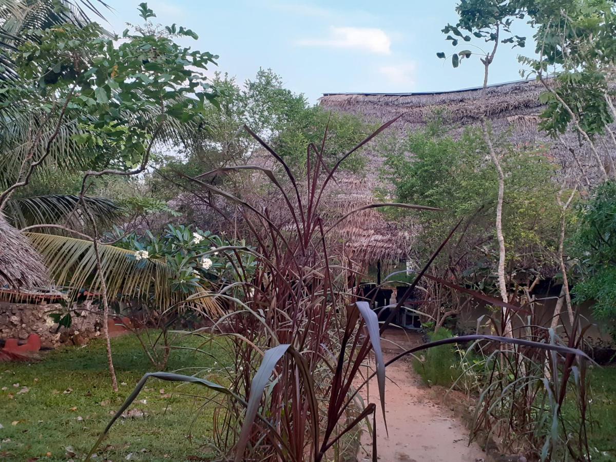 Gecko Nature Lodge Home Of Swahili Divers The Best Dive Center And Famous Gecko Restaurant Verani Ngoại thất bức ảnh