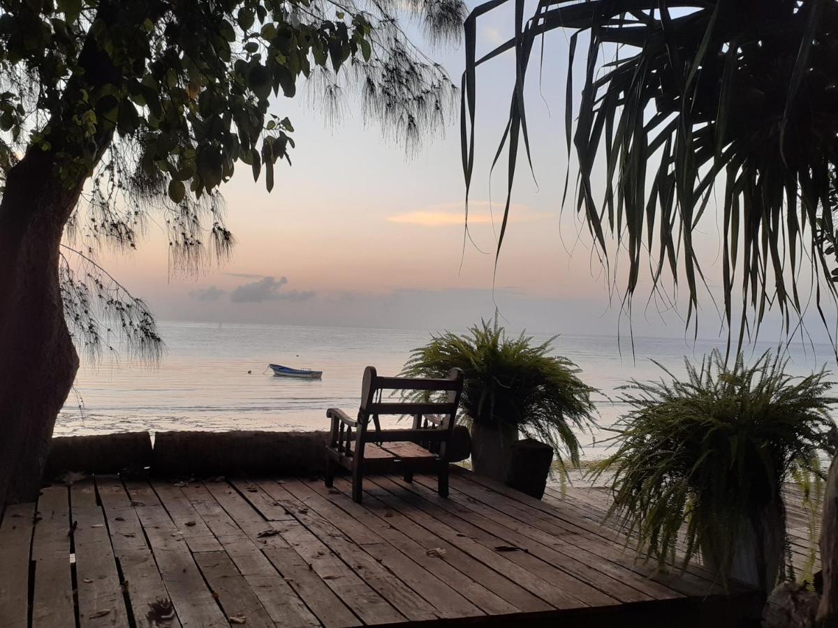 Gecko Nature Lodge Home Of Swahili Divers The Best Dive Center And Famous Gecko Restaurant Verani Ngoại thất bức ảnh
