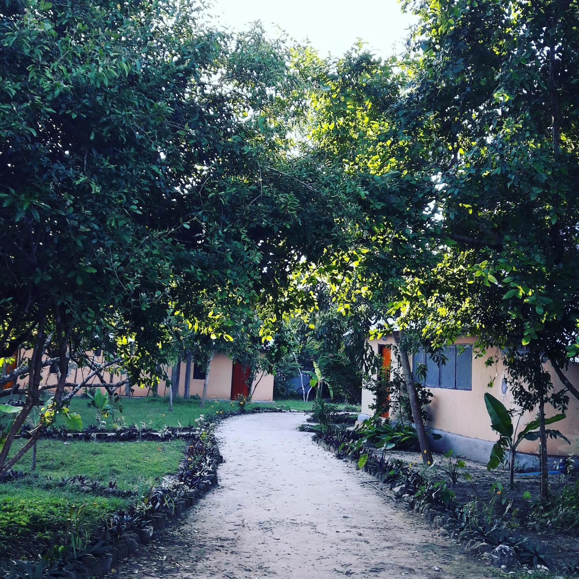Gecko Nature Lodge Home Of Swahili Divers The Best Dive Center And Famous Gecko Restaurant Verani Ngoại thất bức ảnh