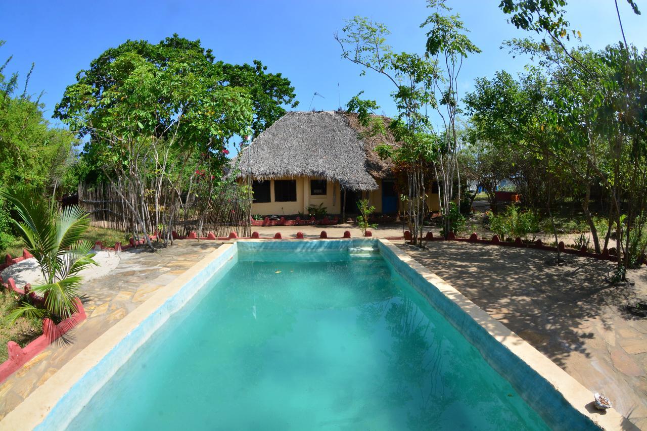 Gecko Nature Lodge Home Of Swahili Divers The Best Dive Center And Famous Gecko Restaurant Verani Ngoại thất bức ảnh