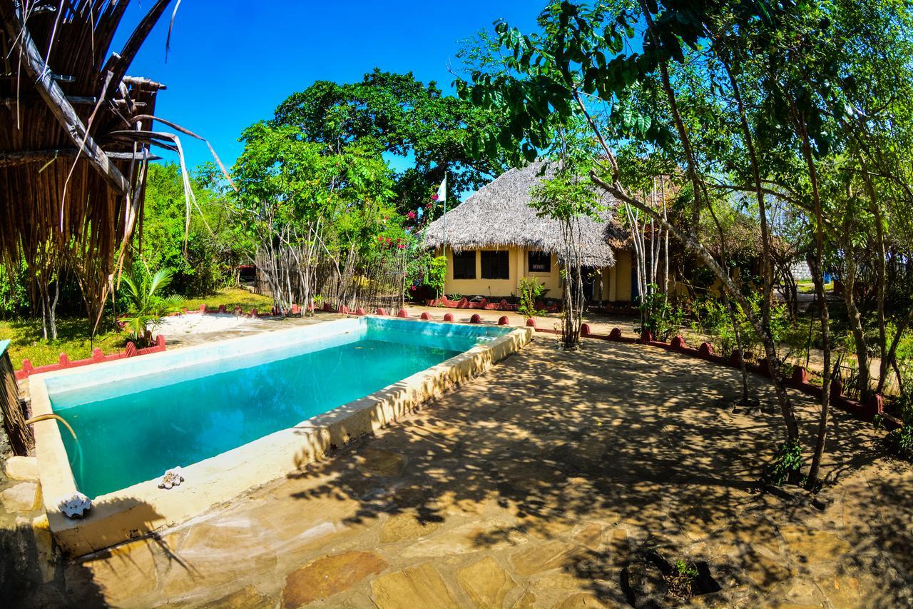 Gecko Nature Lodge Home Of Swahili Divers The Best Dive Center And Famous Gecko Restaurant Verani Ngoại thất bức ảnh