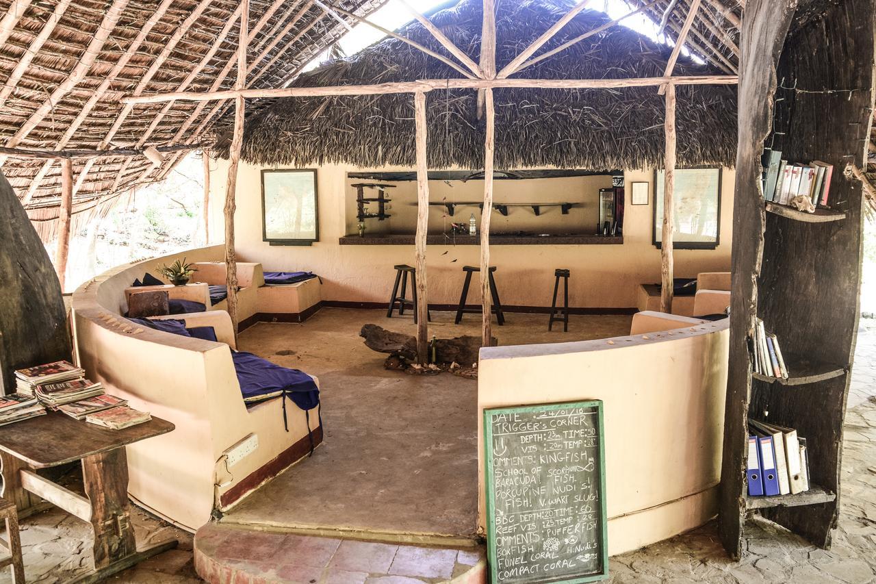 Gecko Nature Lodge Home Of Swahili Divers The Best Dive Center And Famous Gecko Restaurant Verani Ngoại thất bức ảnh