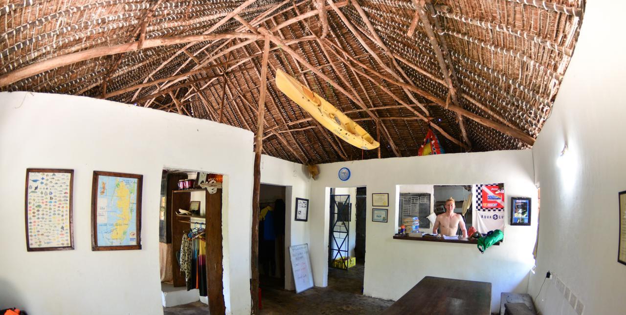Gecko Nature Lodge Home Of Swahili Divers The Best Dive Center And Famous Gecko Restaurant Verani Ngoại thất bức ảnh