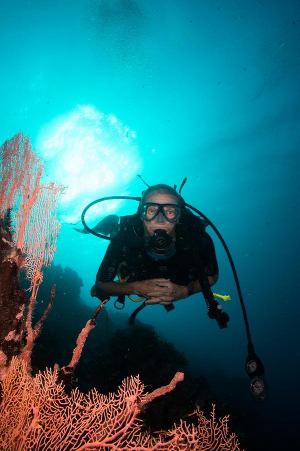 Gecko Nature Lodge Home Of Swahili Divers The Best Dive Center And Famous Gecko Restaurant Verani Ngoại thất bức ảnh