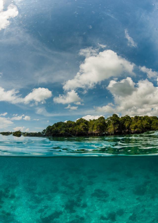 Gecko Nature Lodge Home Of Swahili Divers The Best Dive Center And Famous Gecko Restaurant Verani Ngoại thất bức ảnh