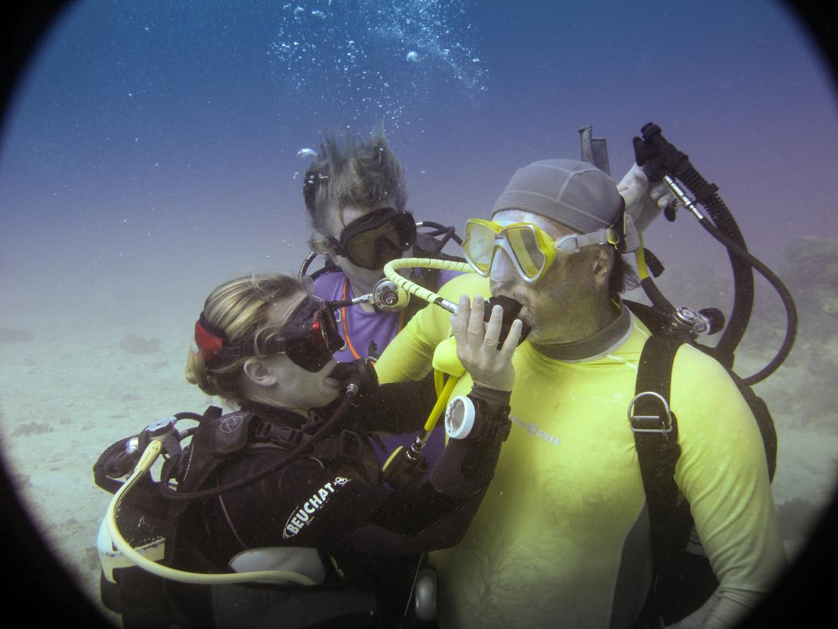 Gecko Nature Lodge Home Of Swahili Divers The Best Dive Center And Famous Gecko Restaurant Verani Ngoại thất bức ảnh