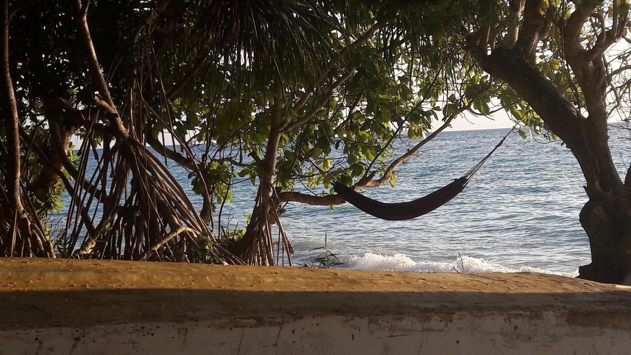 Gecko Nature Lodge Home Of Swahili Divers The Best Dive Center And Famous Gecko Restaurant Verani Ngoại thất bức ảnh