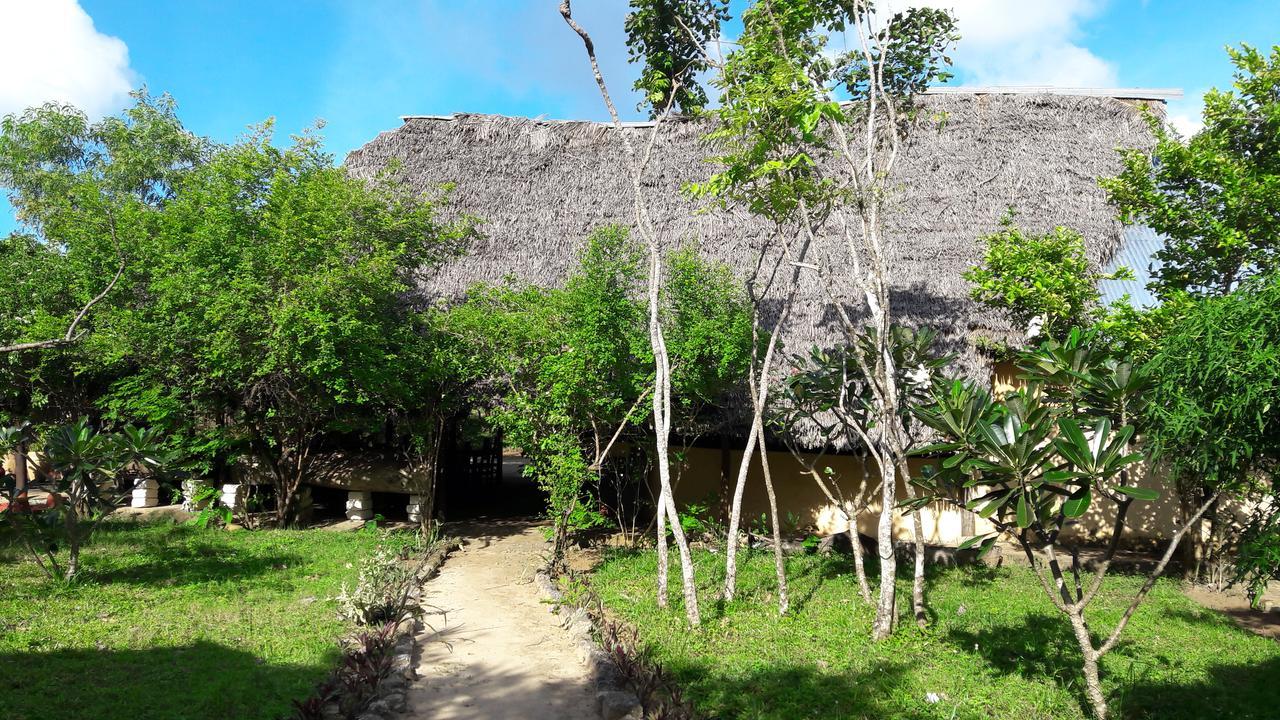 Gecko Nature Lodge Home Of Swahili Divers The Best Dive Center And Famous Gecko Restaurant Verani Ngoại thất bức ảnh