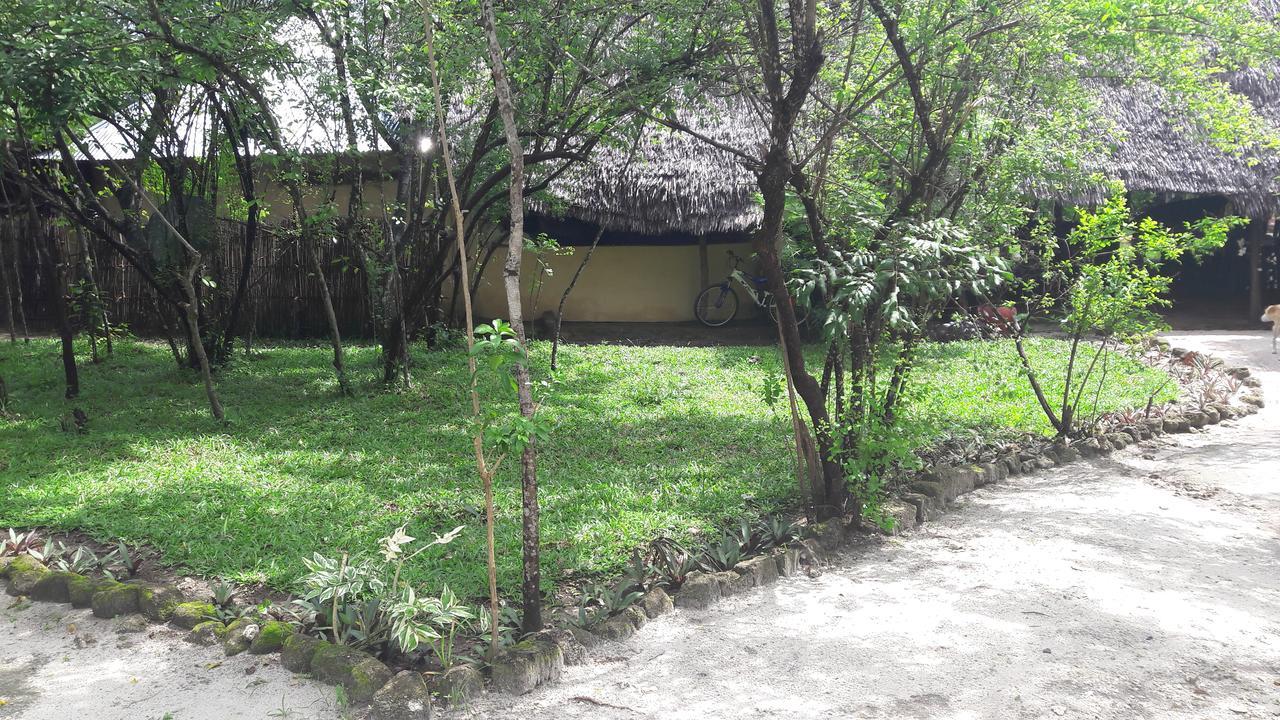 Gecko Nature Lodge Home Of Swahili Divers The Best Dive Center And Famous Gecko Restaurant Verani Ngoại thất bức ảnh