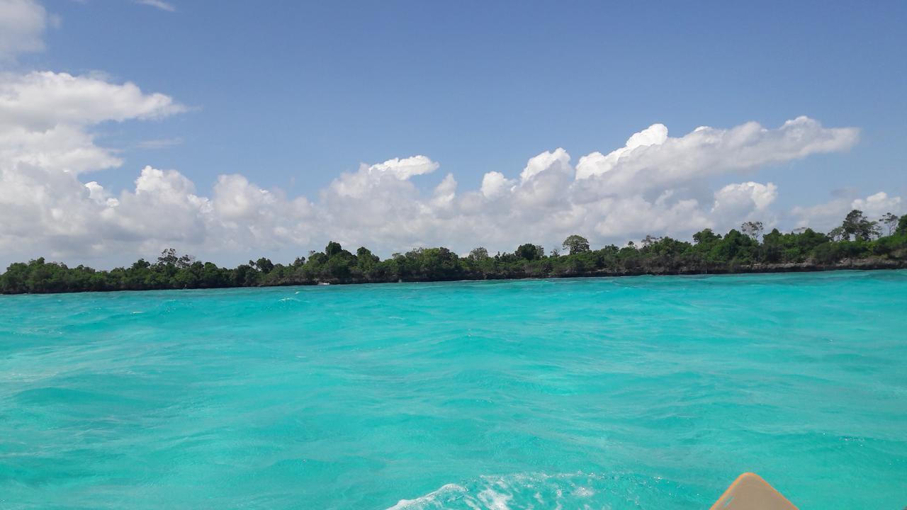 Gecko Nature Lodge Home Of Swahili Divers The Best Dive Center And Famous Gecko Restaurant Verani Ngoại thất bức ảnh